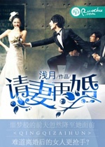 請妻再婚小說