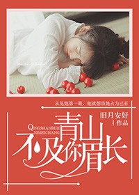 青山不及你眉長小說