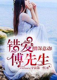 情深意動，錯愛傅先生小說