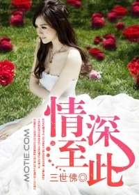 情深至此小說