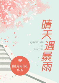 晴天遇暴雨小說