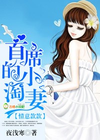 情意款款，首席的小淘妻小說