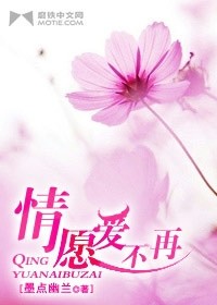 情願愛不再小說
