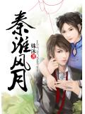 秦淮風月小說