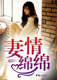 妻情綿綿小說