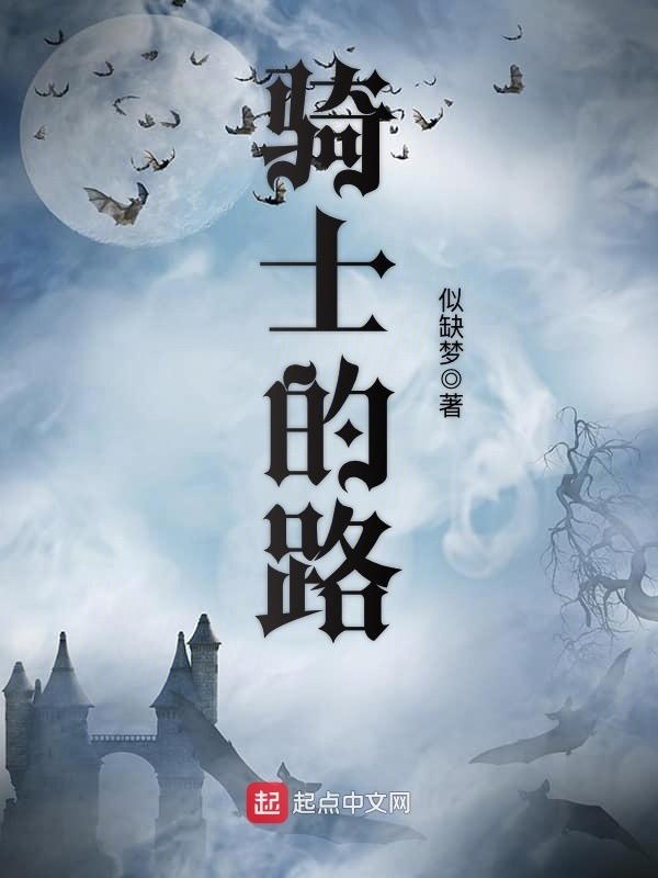 騎士的路小說