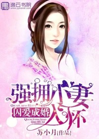 囚愛成婚：強擁小妻入懷小說