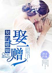 契約婚姻，娶一贈一小說