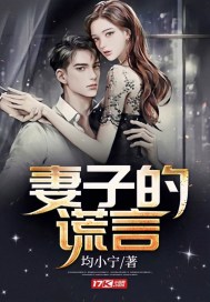 妻子的謊言小說