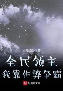 全民領主：我靠作弊爭霸小說