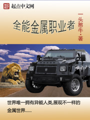 全能金屬職業者小說