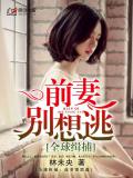 全球緝捕：前妻別想逃小說