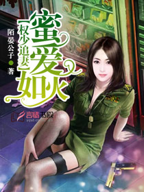 權少追妻：蜜愛如火小說