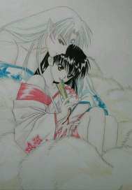 犬夜叉之殺薇愛因你而存在小說