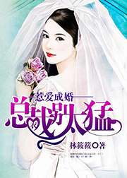 惹愛成婚：總裁別太猛小說