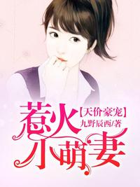 惹火天價妻小說