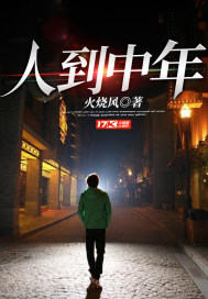 人到中年小說