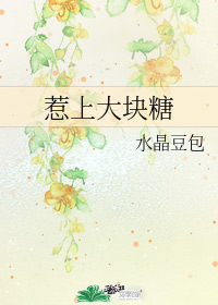 惹上大塊糖小說