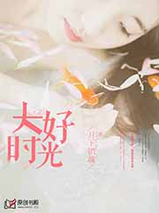 惹上豪門：總統大人請放手小說