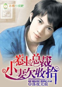 惹上總裁，妻子欠收拾小說