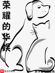榮耀的華娛小說