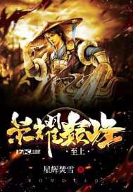 榮耀巔峰至上小說
