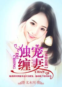 柔情總裁，獨寵纏妻小說