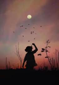 如果天空不是藍色的小說