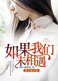 如果我們未相遇小說