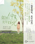 如果仲夏,光年以北小說
