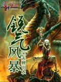 銳氣風暴小說