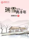 瑞雪兆豐年小說