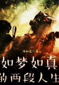 如夢如真的兩段人生夢小說