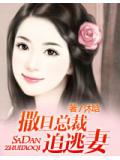 撒旦總裁追逃妻小說