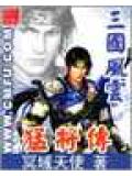 三國風雲之猛將傳小說