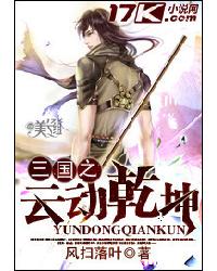 三國之雲動幹坤小說