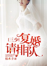 三少，復婚請排隊小說