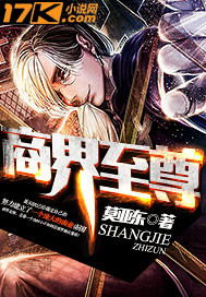商界至尊小說