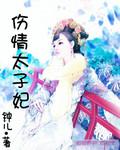 傷情太子妃小說