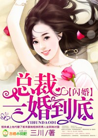 閃婚，總裁一婚到底小說