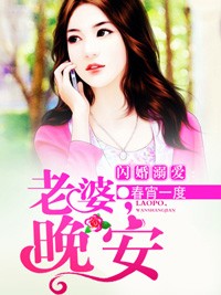 閃婚霸愛：老婆，晚上見小說