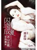 閃婚成愛：冰山總裁手到擒來小說