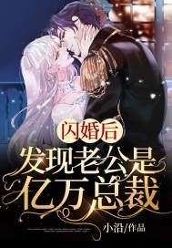 閃婚後，發現老公是億萬總裁小說
