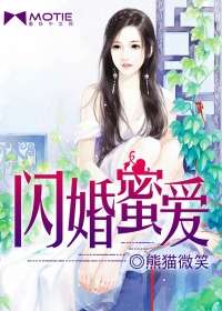 閃婚蜜愛小說