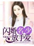 閃婚名少放手愛小說