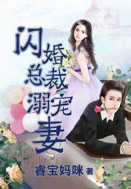 閃婚總裁溺寵妻小說