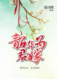 韶華爲君嫁小說