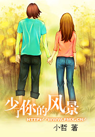 少了你的風景小說