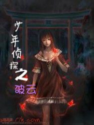 少年偵探之破雲小說