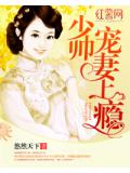 少帥寵妻上癮小說